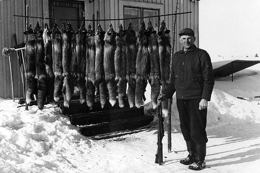 Lainio 16 C.jpg - Levi Zakrisson med vinterns fångst.